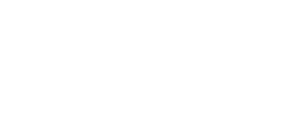 Network International Cargo